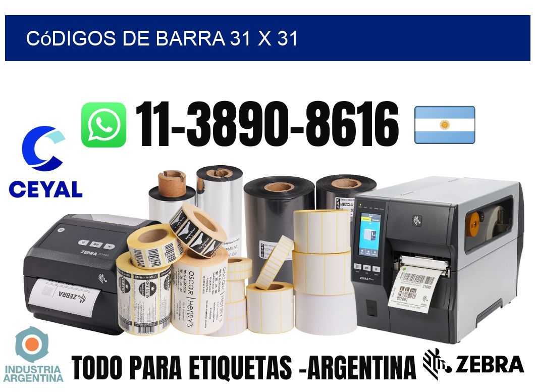 códigos de barra 31 x 31